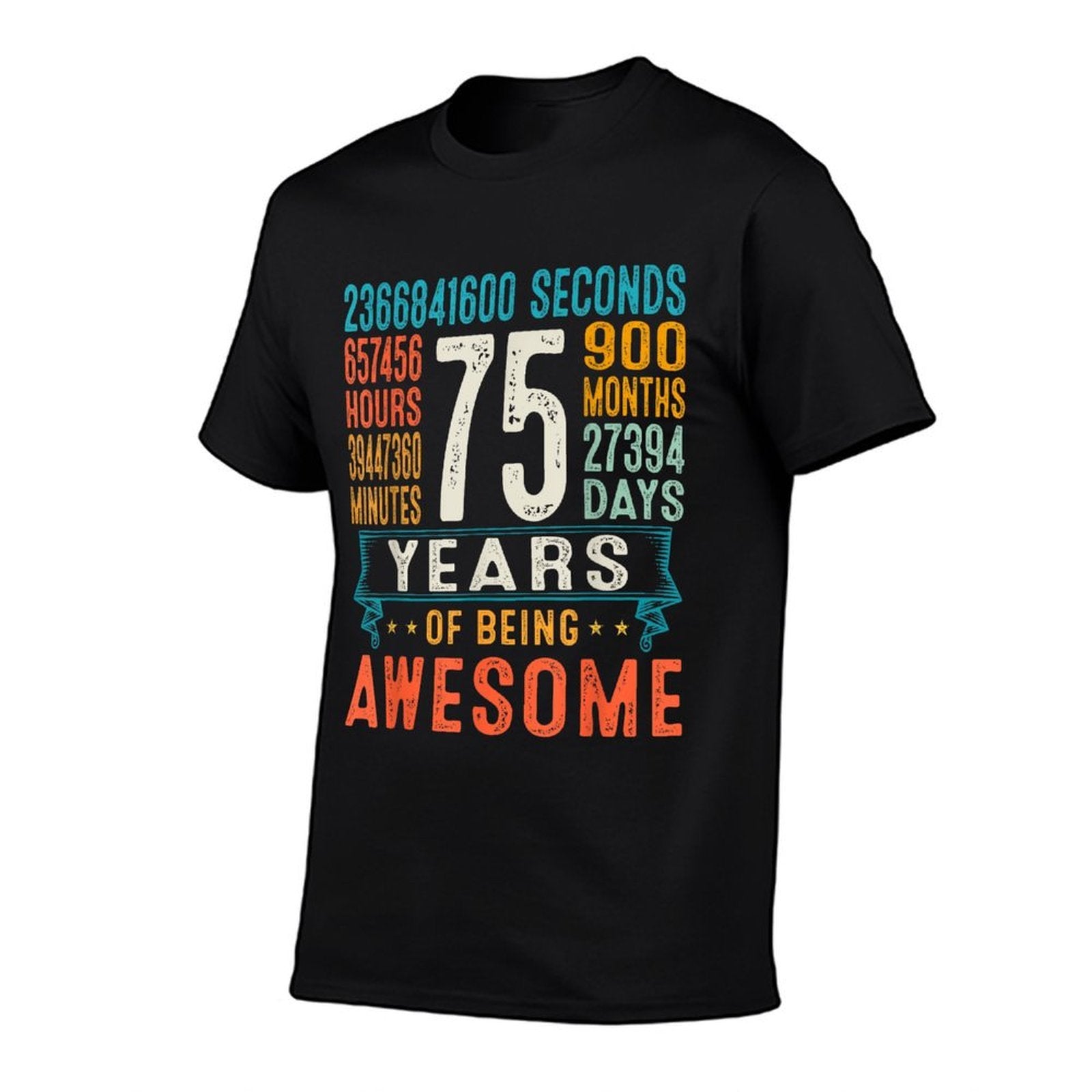 75 Years Old Retro Distressed 75th Birthday Gifts 900 Months Comfortable T-Shirt